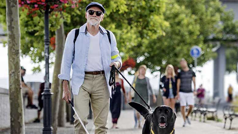 Mann mit Blindenstock und Hund läuft auf einem Weg